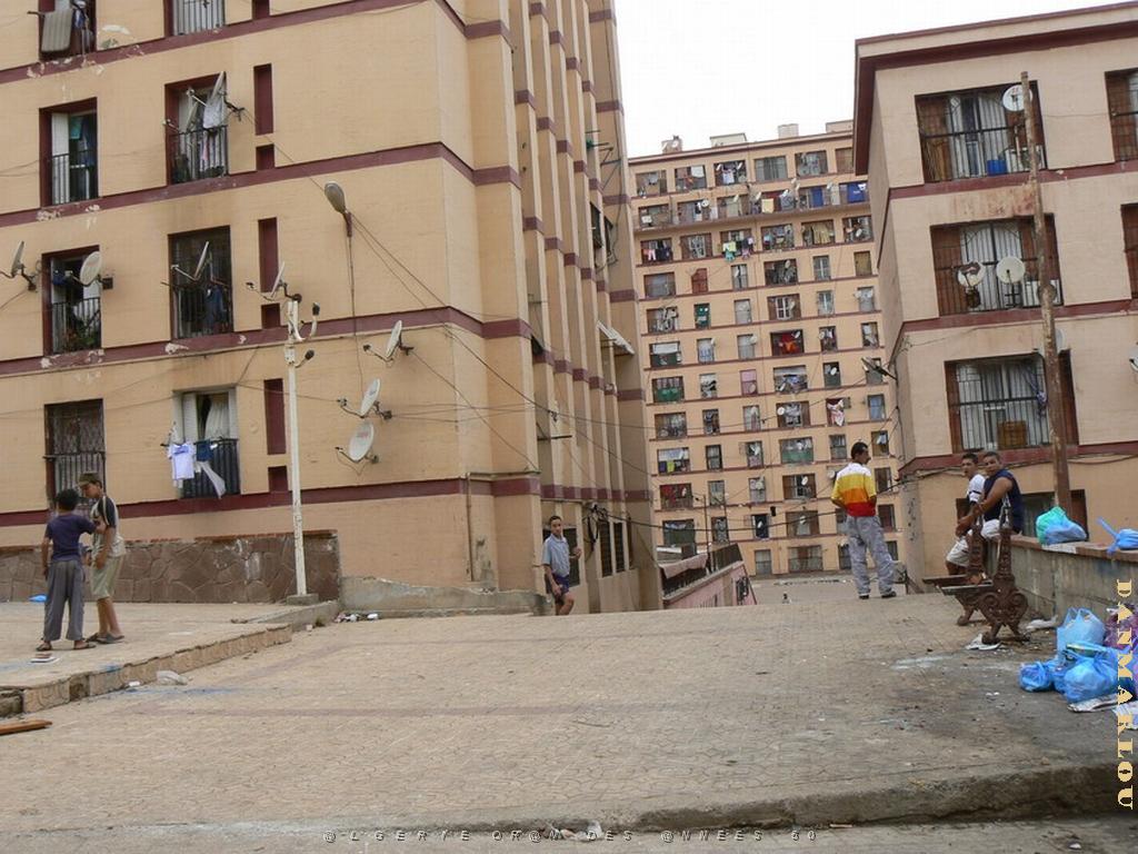 Cite Lescure 37 .jpg